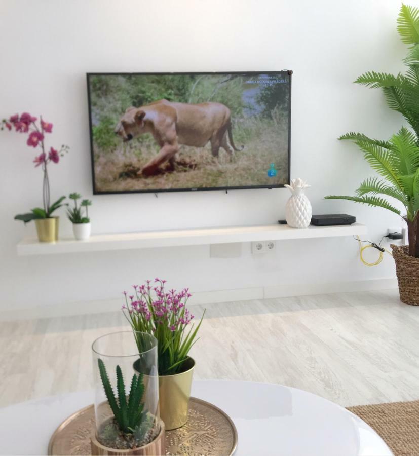 Stunning Spacious City Apartment With Free Parking Málaga Dış mekan fotoğraf